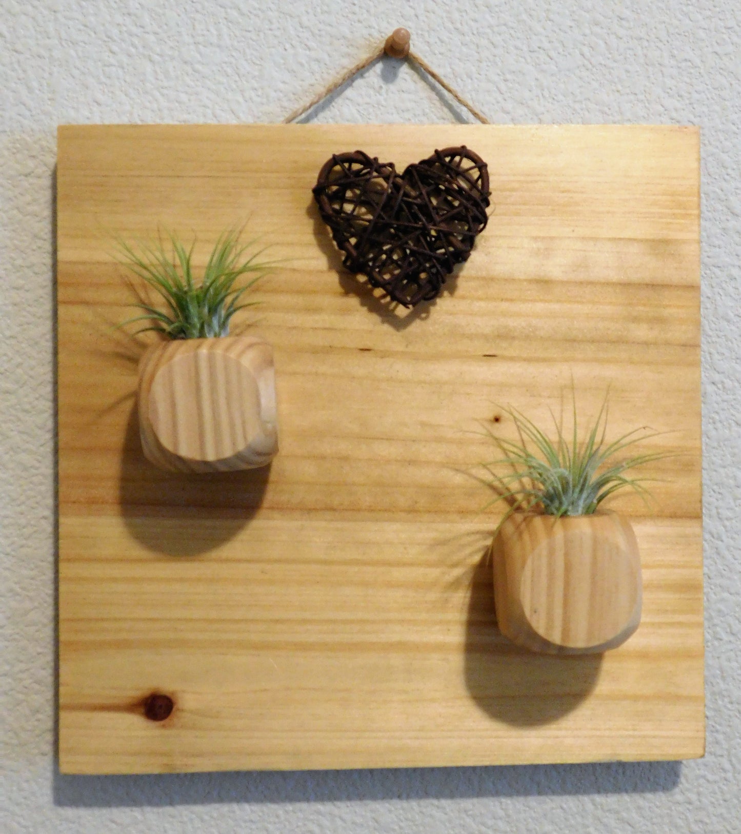 Air Plant Wall Decor, Natural wood plaque with air plants,  Air Plant wall hanging.  Country air plant wall hanging.