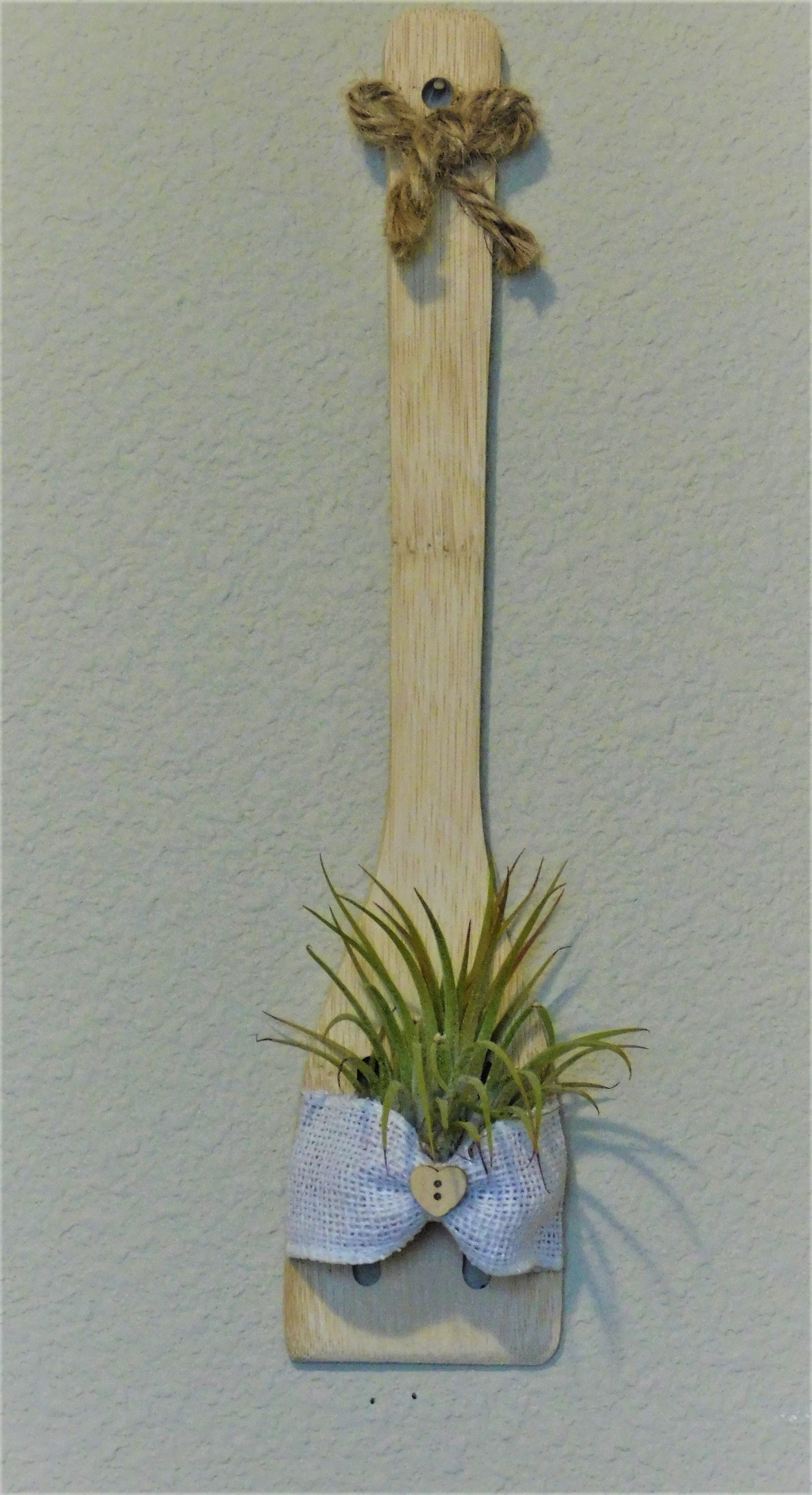 Air Plant wall decor. Air plant holder, kitchen decor, wall decor, country decor.