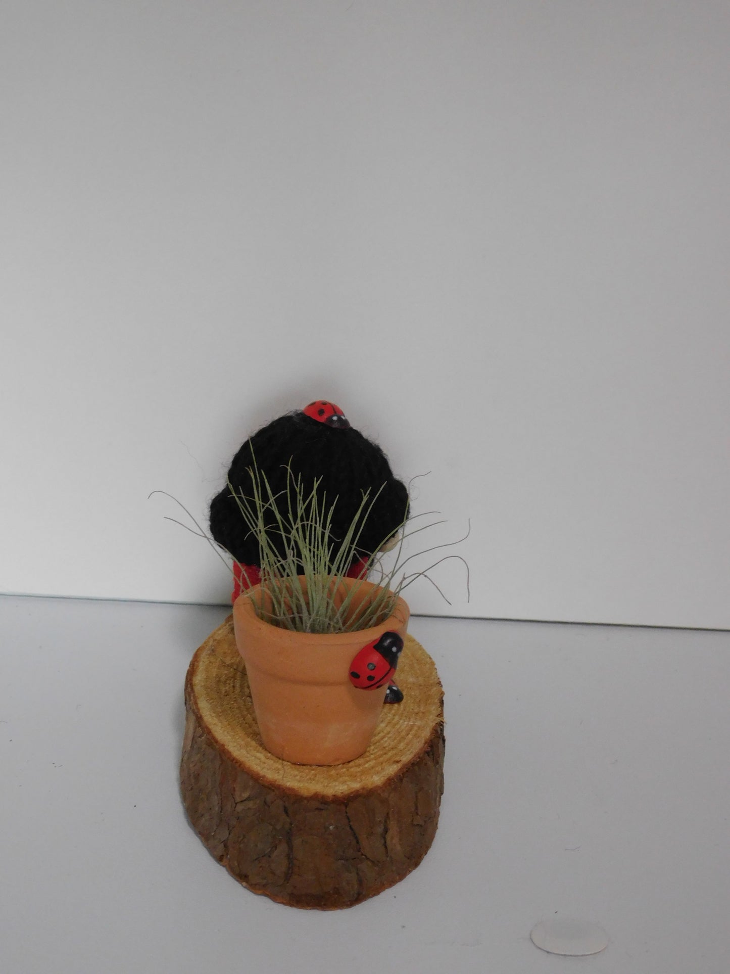 Mini Gnome, Lady Bug Gnome, Country Gnome, Gnome