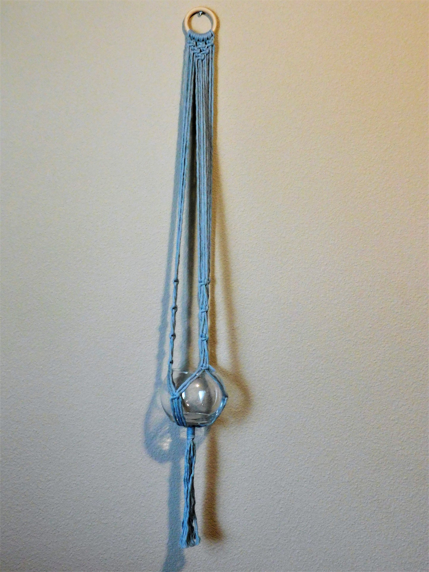 Single plant, macrame plant hanger, wall plant hanger.