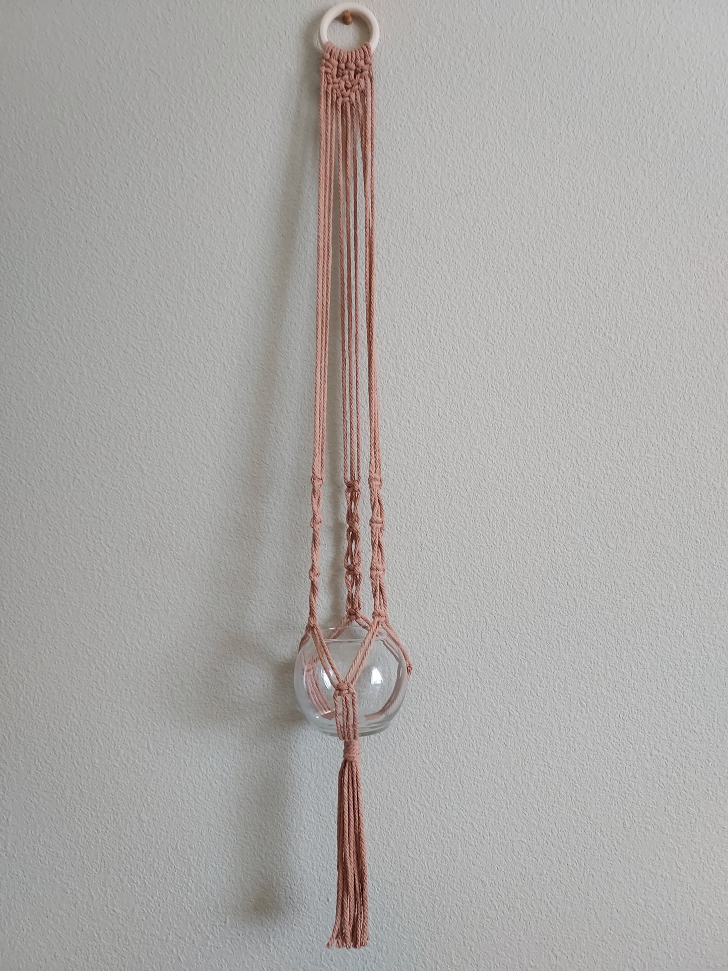 Single plant, macrame plant hanger, wall plant hanger.